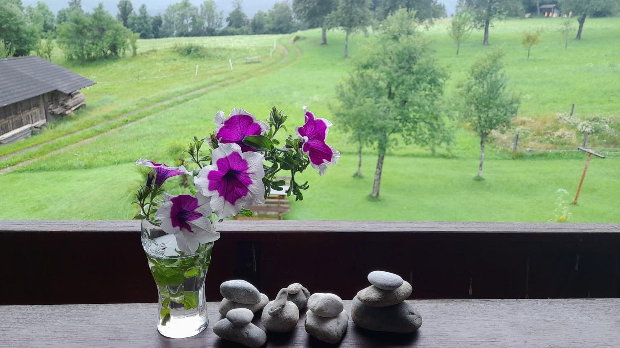 Ferienwohnung Johanna Sankt Georgen im Gailtal 외부 사진